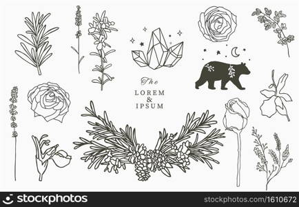 Line herbal collection with rosemary,lavender,cannabis.Vector illustration for icon,sticker,printable and tattoo