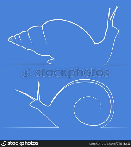 Line illustration of snail Achatina and snail Marisa. Vector element for logos, banners and infographics. Line illustration of snail Achatina and snail Marisa. Vector ele