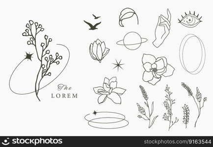 Line object collection with hand,magnolia,rose,lavender flower