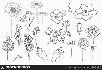 Line object collection with hand,magnolia,rose,lavender,jasmine,sunflower,leaf,flower