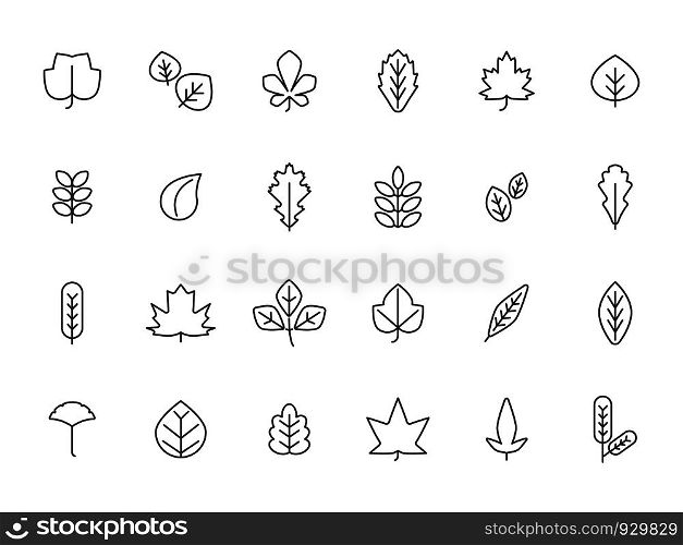 Linear autumn leaves. Pictures of autumn. Nature linear season floral, vector illustration. Linear autumn leaves. Leaf of autumn line set