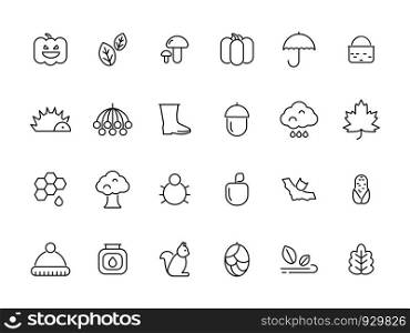 Linear autumn symbols. Vector icons set isolate. Seasonal foliage botany, bat and mushroom, hedgehog and pumpkin illustration. Linear autumn symbols. Vector icons set isolate