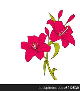 Linear Colored Sketch of Beautiful Lily Flowers Isolated on White Background. Illustration Linear Colored Sketch of Beautiful Lily Flowers Isolated on White Background. Hand Drawn Background. Copy Space for Your Text - Vector