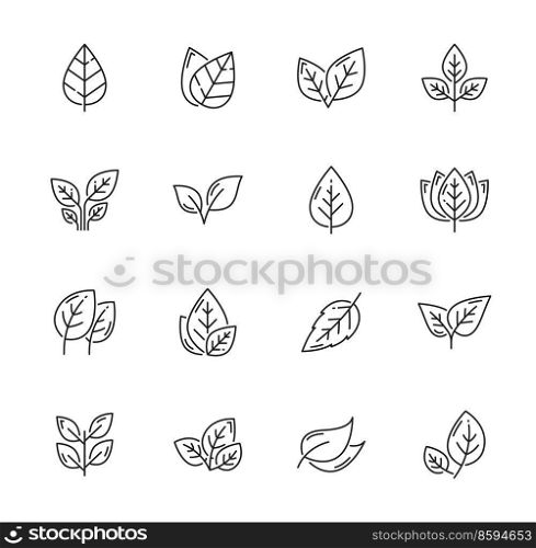Linear leaf icons, tree plant or nature leaves vector outline symbols. Leaf symbols for eco, bio and organic or vegan and vegetarian, environment, ecology and farming, gardening. Linear leaf icons, tree plants and nature leaves