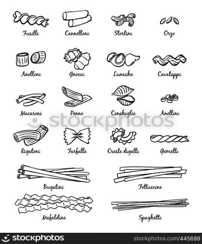 Linear pictures of classical italian food. Different types of pasta. Food italian assortment, farfalle and cannelloni, stortini and anellini spaghetti icons, vector illustration. Linear pictures of classical italian food. Different types of pasta