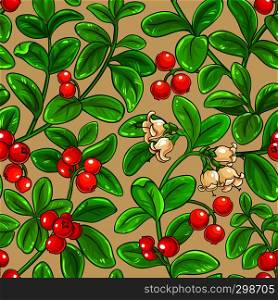 lingonberry vector pattern on color background. lingonberry vector pattern