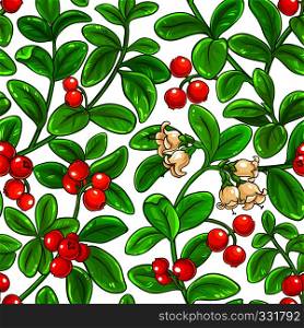 lingonberry vector pattern on white background. lingonberry vector pattern