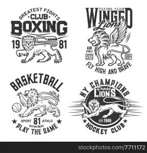 Lion animal t shirt prints for basketball, ice hockey and boxing sport club vector emblems. Heraldic lion with wings and claws, roaring, varsity basketball team league and aviation pilot club t-shirt. Lion animal t shirt print, basketball, hockey club