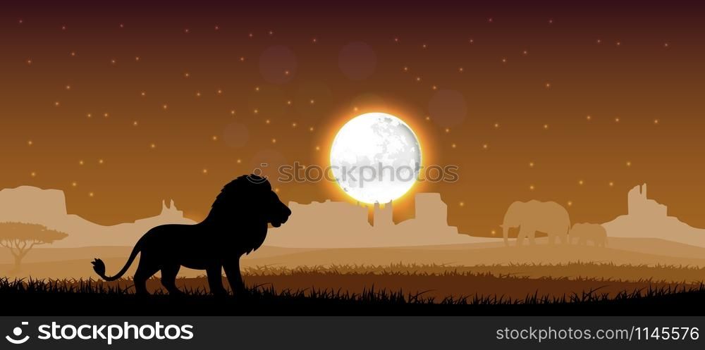 Lion in the evening. Vector