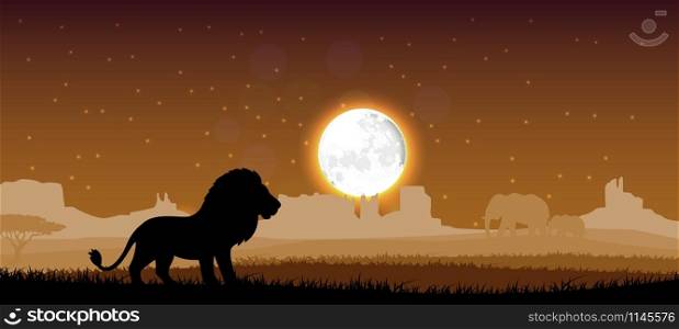 Lion in the evening. Vector