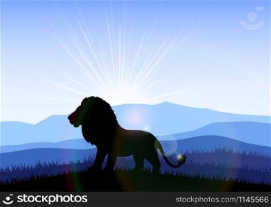 Lion in the field at dawn. Vector