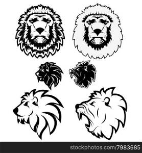 lion. Logo,badge or label design template. Vector illustration. Sport team logo template.