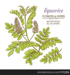 liquorise vector illustration. illustration with liquorise plant on white background