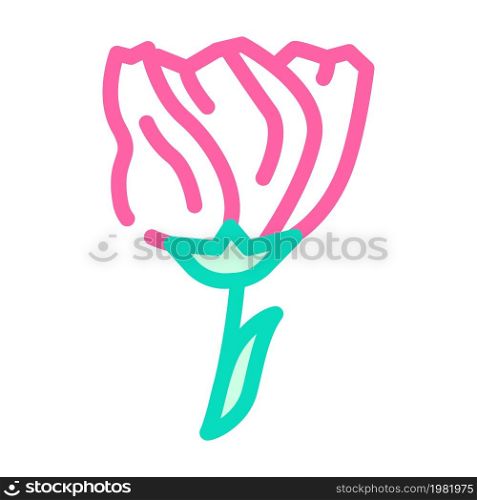 lisianthus flower color icon vector. lisianthus flower sign. isolated symbol illustration. lisianthus flower color icon vector illustration