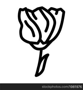 lisianthus flower line icon vector. lisianthus flower sign. isolated contour symbol black illustration. lisianthus flower line icon vector illustration
