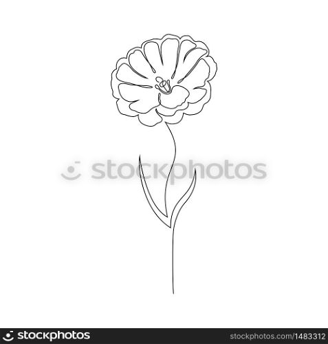 Lisianthus flower on white background. One line drawing style.. Lisianthus flower on white
