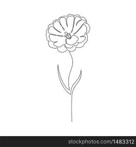 Lisianthus flower on white background. One line drawing style.. Lisianthus flower on white