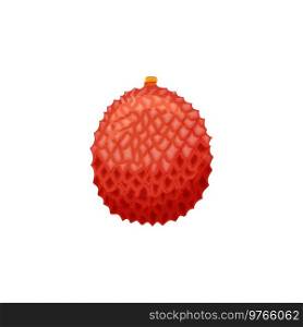 Litchi isolated fruit tropical dessert isolated flat cartoon icon. Vector whole lychee Thai fruit, exotic food. Litchi chinensis, soapberry vegetarian food dessert. Red lychee fruit subtropical leche. Lychee isolated whole tropical fruit flat cartoon