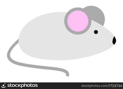 Little cute mouse with pink ears in cartoon style. Vector illustration of a mouse osolated on a white background. Gray rat side view. Mousekin a pet, field rodent lives in a hole likes grain. Little cute mouse with pink ears. Vector illustration of a mouse osolated on a white background