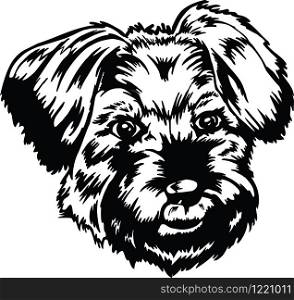 Little Dog Head Vector Illustration