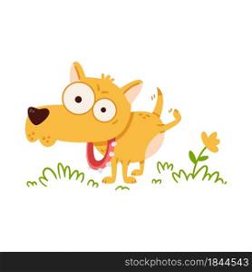 Little dog with big eyes pee on flower. Chihuahua in collar with spikes on walk. Funny vector illustration in flat style isolated on white background.