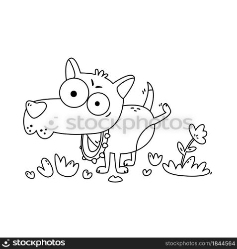 Little dog with big eyes pee on flower. Chihuahua in collar with spikes on walk. Funny vector illustration in flat style isolated on white background. Coloring page for children.