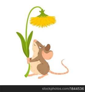 Little forest mouse holding dandelion. Meadow vole with flower. Rat keep blossom. Vector character isolated illustration on white background.