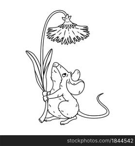 Little forest mouse holding dandelion. Meadow vole with flower. Rat keep blossom. Vector character isolated illustration on white background. Coloring page for children.