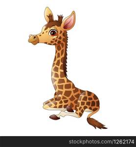 Little giraffe calf sitting