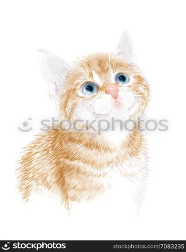 Little kitten the red marble coloring. Ginger fluffy kitten. Portrait oh the cat. House pet. Suitable for t-shirt design