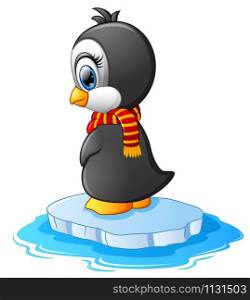 little penguin on a bit of ice