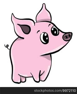 Little pig, illustration, vector on white background