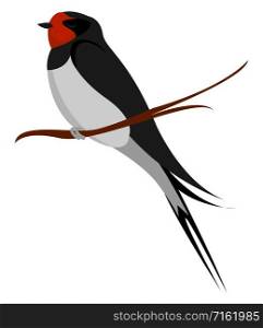Little swallow, illustration, vector on white background.