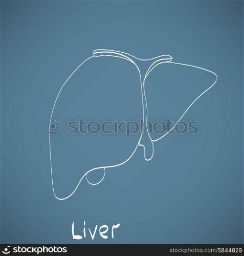 liver anatomy medicine chalk painted on the chalkboard