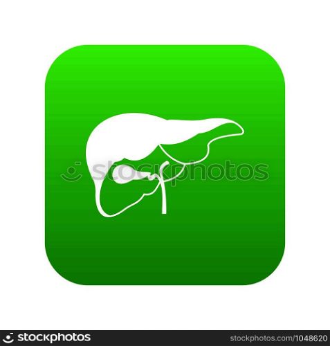 Liver icon digital green for any design isolated on white vector illustration. Liver icon digital green