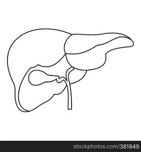 Liver icon. Outline illustration of liver vector icon for web. Liver icon, outline style