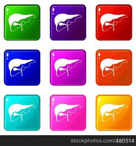 Liver icons of 9 color set isolated vector illustration. Liver set 9