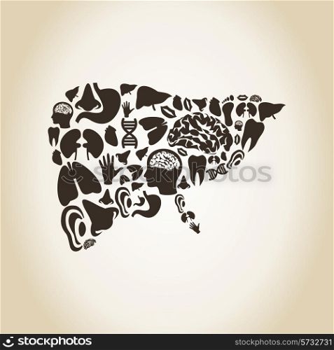 Liver made of body parts. A vector illustration