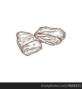 Liver pieces isolated sketch. Vector butchery food, meat of beef, pork or lamb. Meat liver pieces isolated butchery food sketch