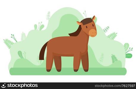 Livestock animal or horse, farming and agriculture vector. Mustang or stallion, ranch or farm at countryside mammal with mane and hoofs on meadow. Horse or Livestock Animal, Farming and Agriculture