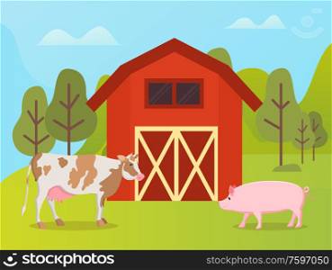 Livestock animals cow and pig near warehouse. Vector country rural landscape with red house and domestic pets, green trees and grass, spring or summer season. Livestock Animals Cow and Pig Near Warehouse