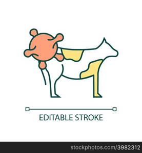 Livestock disease RGB color icon. Domestic animal infection. Farm animal. Agriculture issue. Isolated vector illustration. Simple filled line drawing. Editable stroke. Arial font used. Livestock disease RGB color icon