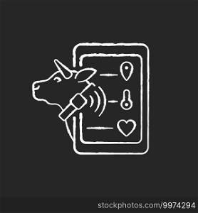Livestock monitoring chalk white icon on black background. Cattle tracking systems. Cows location monitoring. Smart agritech. Animal identification. Isolated vector chalkboard illustration. Livestock monitoring chalk white icon on black background