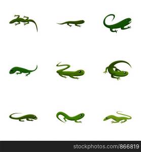 Lizard icon set. Cartoon set of 9 lizard vector icons for web design isolated on white background. Lizard icon set, cartoon style
