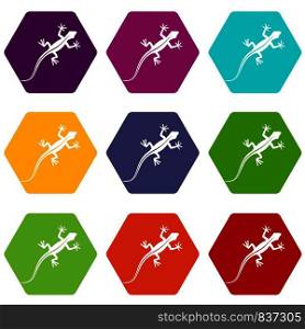 Lizard icon set many color hexahedron isolated on white vector illustration. Lizard icon set color hexahedron
