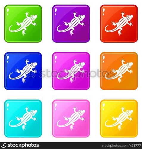 Lizard icons of 9 color set isolated vector illustration. Lizard icons 9 set