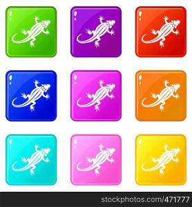 Lizard icons of 9 color set isolated vector illustration. Lizard icons 9 set