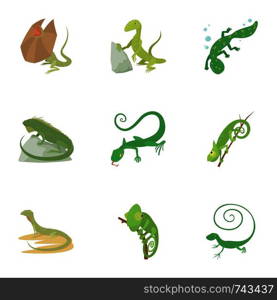 Lizard icons set. Cartoon set of 9 lizard vector icons for web isolated on white background. Lizard icons set, cartoon style