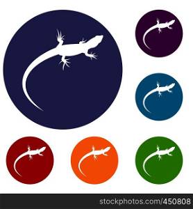 Lizard icons set in flat circle reb, blue and green color for web. Lizard icons set