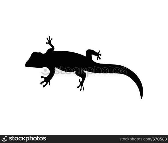 Lizard vector, design, animal, and reptile, gecko